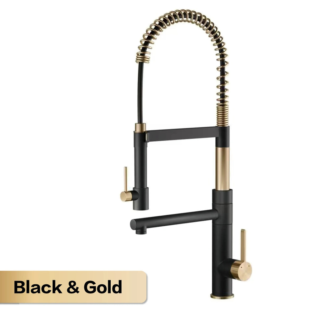 The Velo Dual-Spout Pull-Out Kitchen Tap in Black & Gold