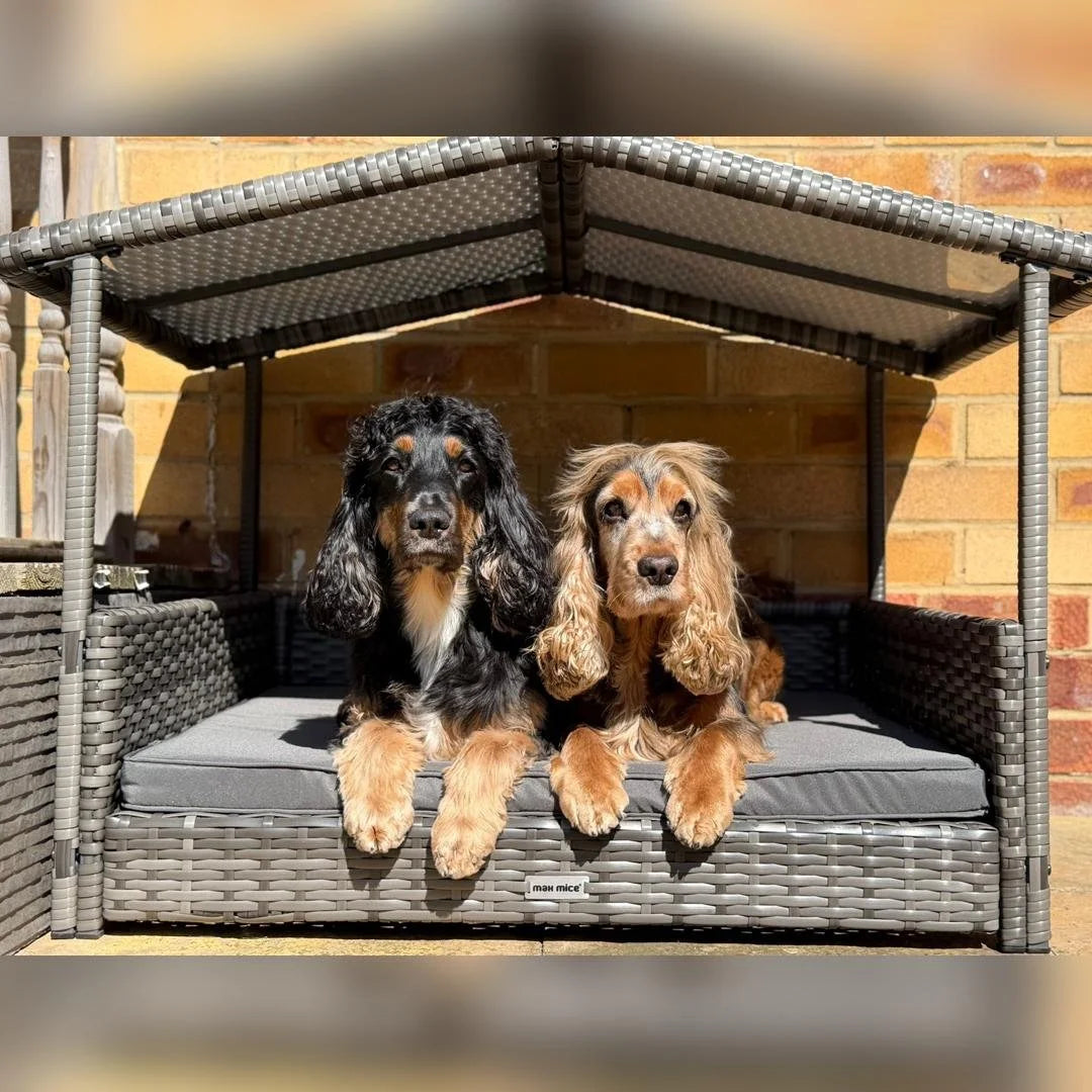 Rattan Outdoor Dog Daybed